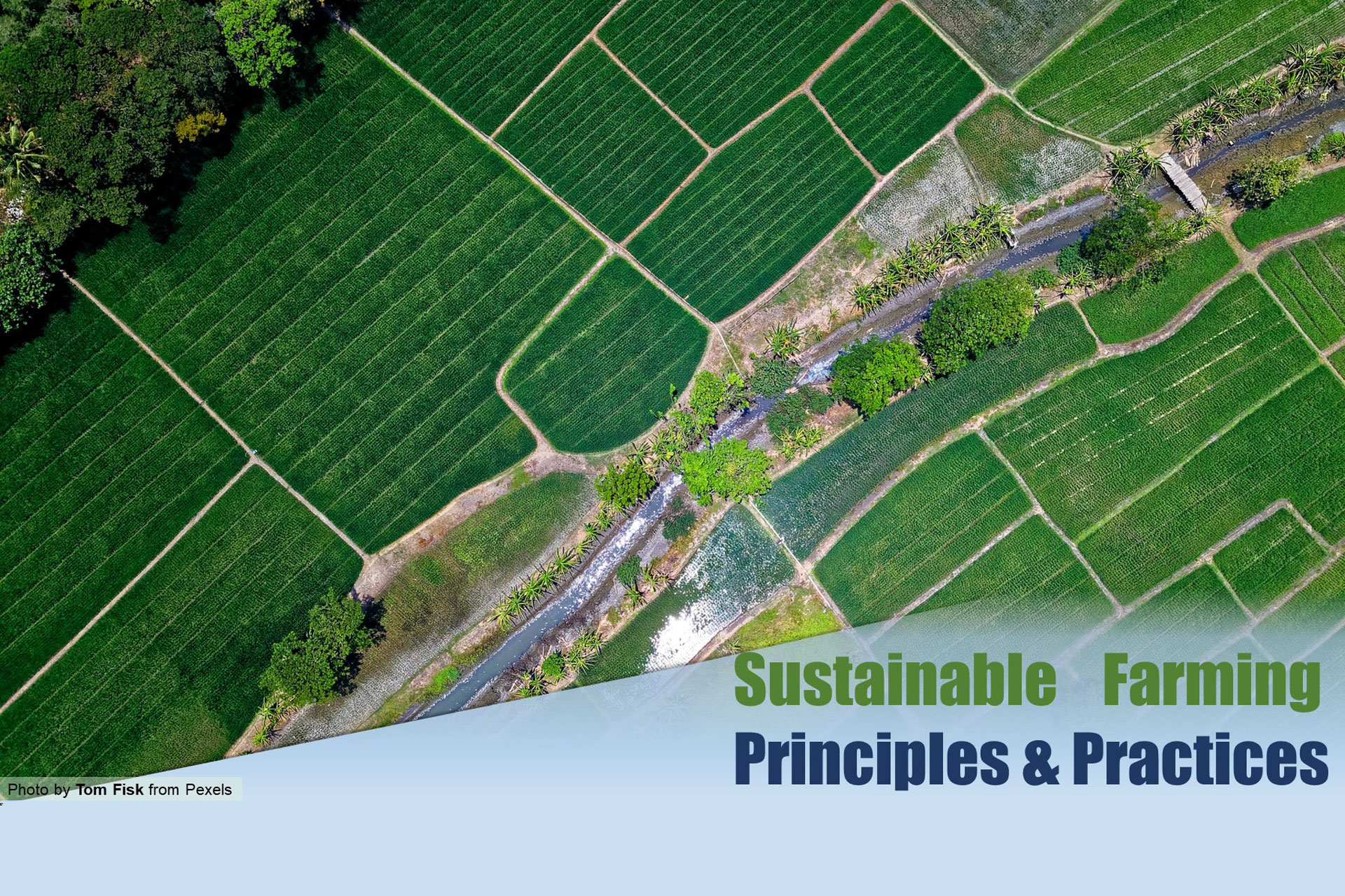 sustainable-farming sustainable-farming